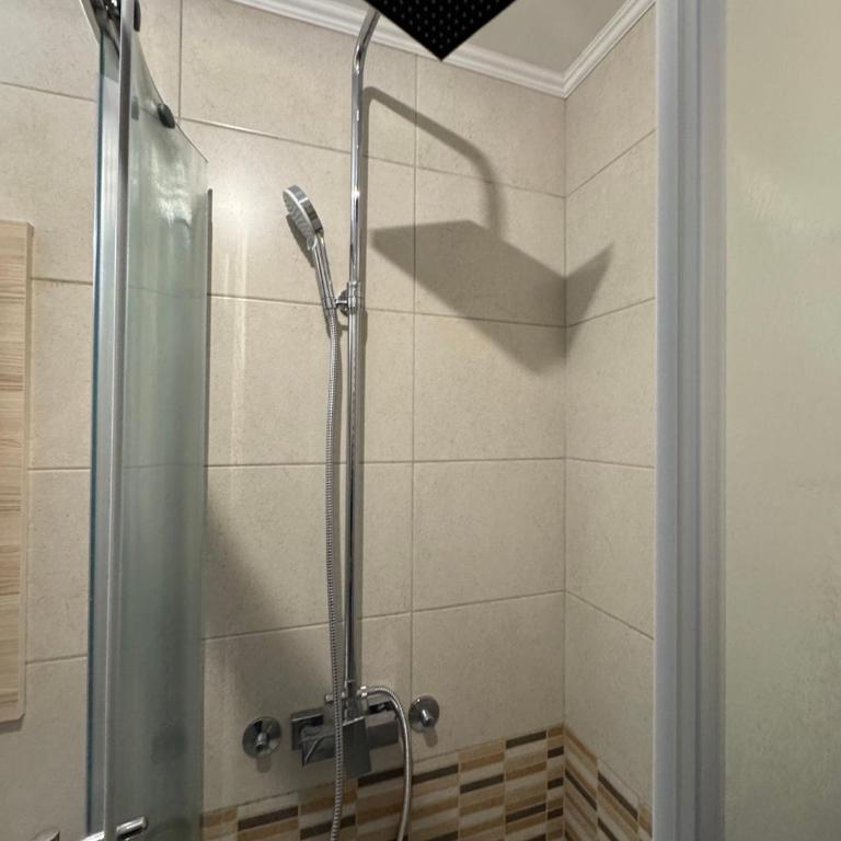 Vila Kopaonik Apartmani Milenkovic - Standardni Trokrevetni Studio - 24