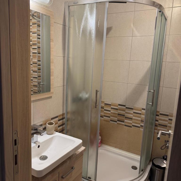 Vila Kopaonik Apartmani Milenkovic - Standardni Trokrevetni Studio - 23