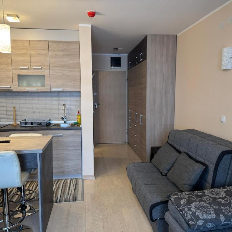 Vila Kopaonik Apartmani Milenkovic - Standardni Trokrevetni Studio - 22