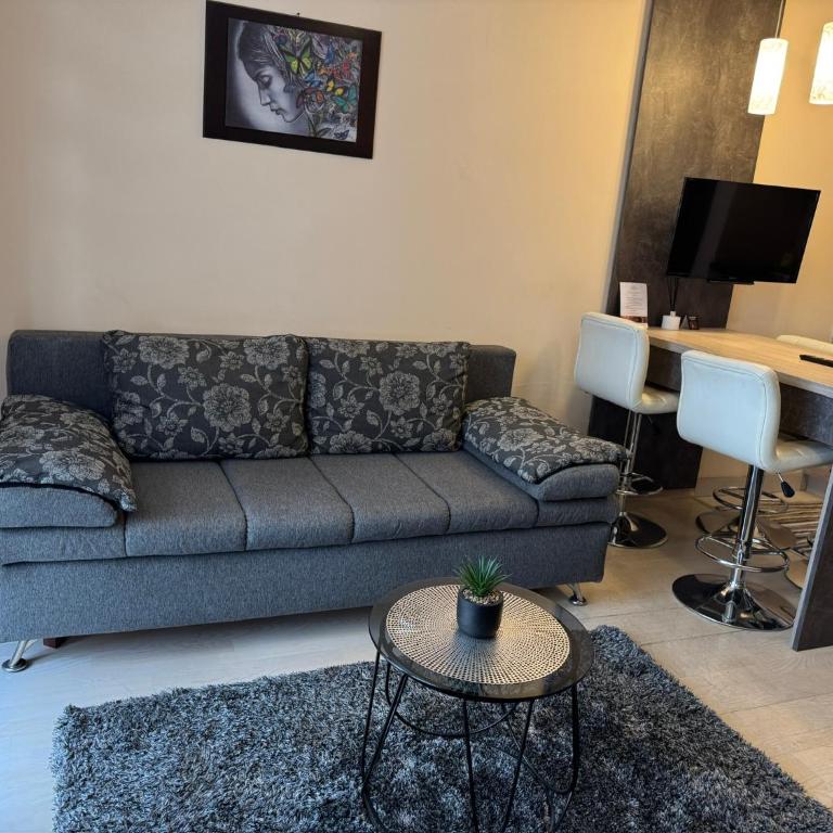 Vila Kopaonik Apartmani Milenkovic - Standardni Trokrevetni Studio - 21