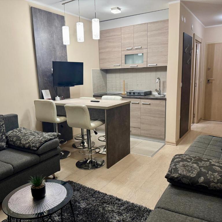 Vila Kopaonik Apartmani Milenkovic - Standardni Trokrevetni Studio - 20