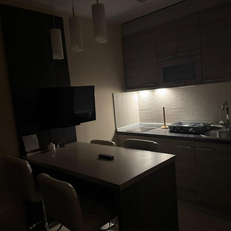 Vila Kopaonik Apartmani Milenkovic - Standardni Trokrevetni Studio - 19