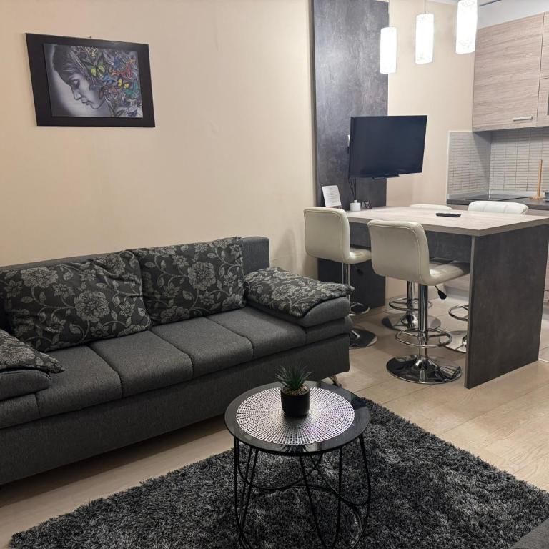 Vila Kopaonik Apartmani Milenkovic - Standardni Trokrevetni Studio - 18