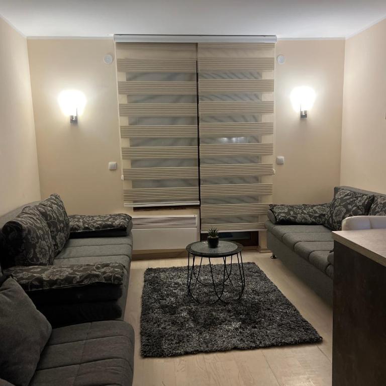 Vila Kopaonik Apartmani Milenkovic - Standardni Trokrevetni Studio - 17