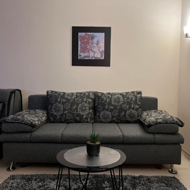 Vila Kopaonik Apartmani Milenkovic - Standardni Trokrevetni Studio - 16