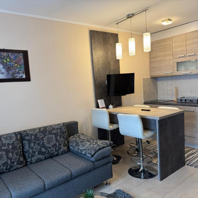 Vila Kopaonik Apartmani Milenkovic - Standardni Trokrevetni Studio - 15