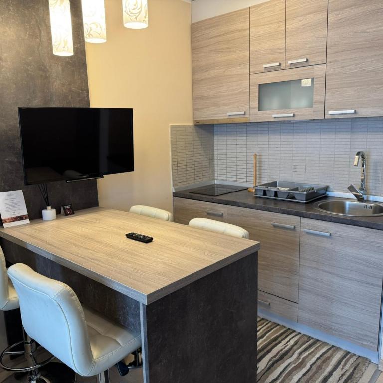 Vila Kopaonik Apartmani Milenkovic - Standardni Trokrevetni Studio - 14