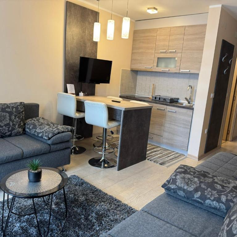 Vila Kopaonik Apartmani Milenkovic - Standardni Trokrevetni Studio - 13
