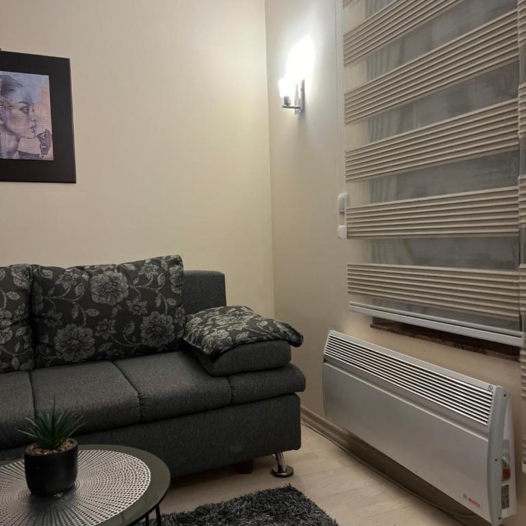 Vila Kopaonik Apartmani Milenkovic - Standardni Trokrevetni Studio - 12
