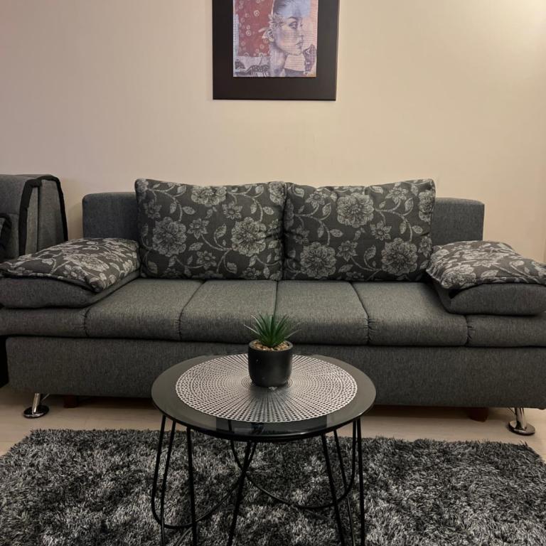 Vila Kopaonik Apartmani Milenkovic - Standardni Trokrevetni Studio - 11
