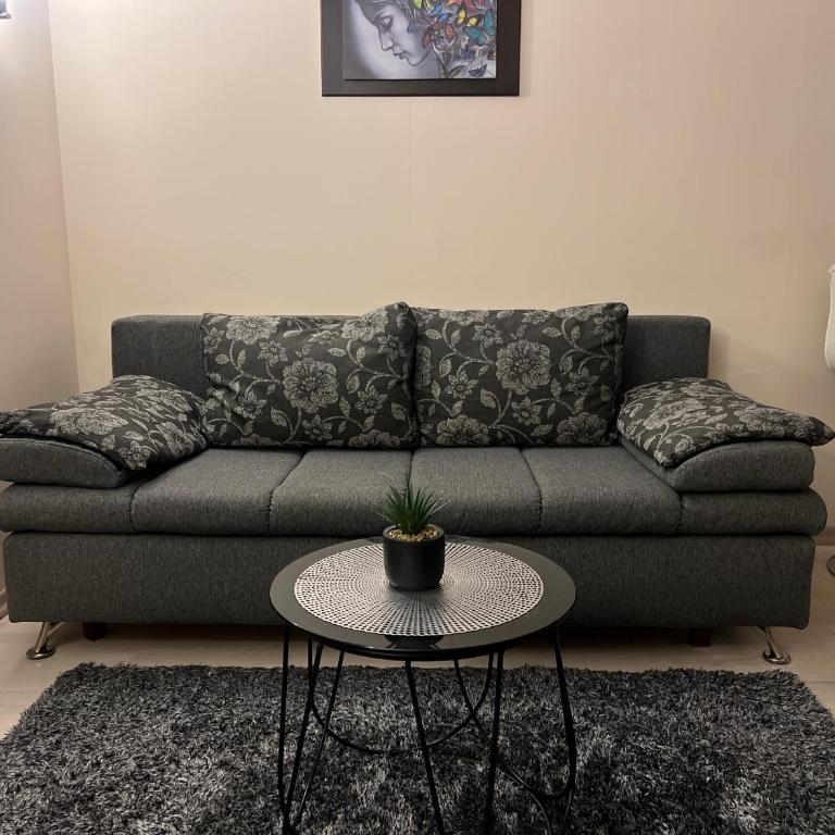 Vila Kopaonik Apartmani Milenkovic - Standardni Trokrevetni Studio - 10