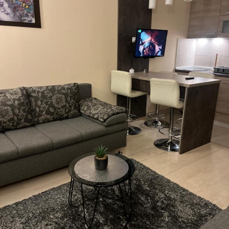 Vila Kopaonik Apartmani Milenkovic - Standardni Trokrevetni Studio - 9