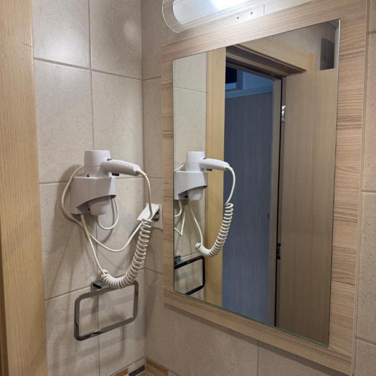 Vila Kopaonik Apartmani Milenkovic - Standardni Trokrevetni Studio - 8