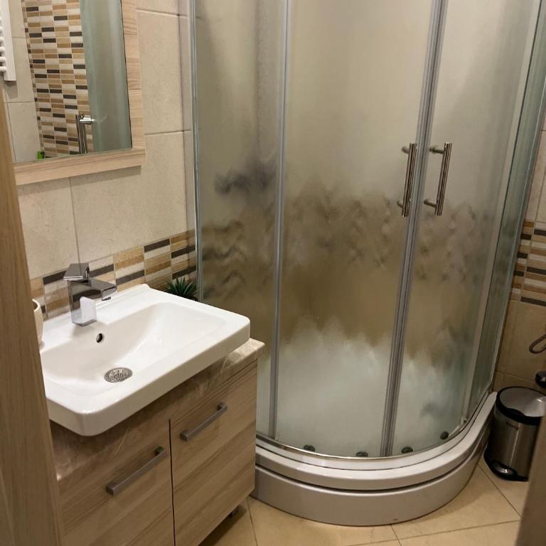 Vila Kopaonik Apartmani Milenkovic - Standardni Trokrevetni Studio - 7