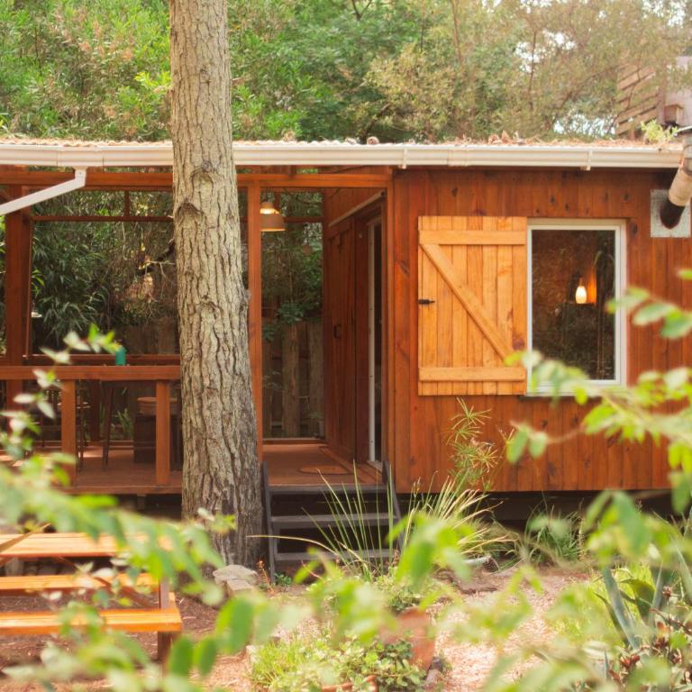 Cabaña Junco - Casa con 1 dormitorio - 3