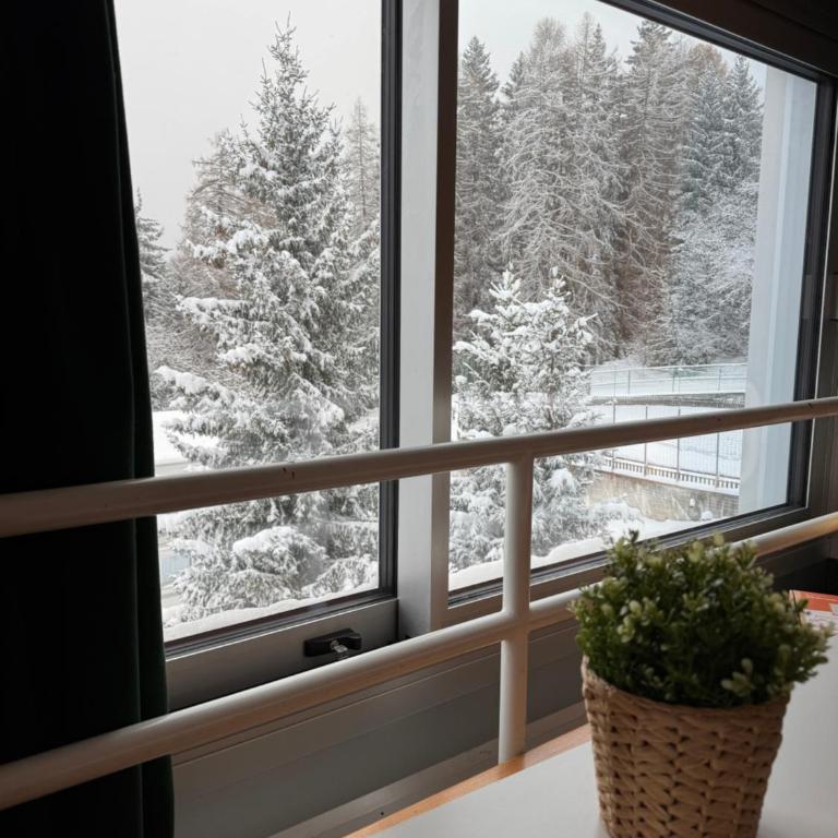 Panorama Marilleva 1400 - Val di Sole - Two-Bedroom Apartment - 77
