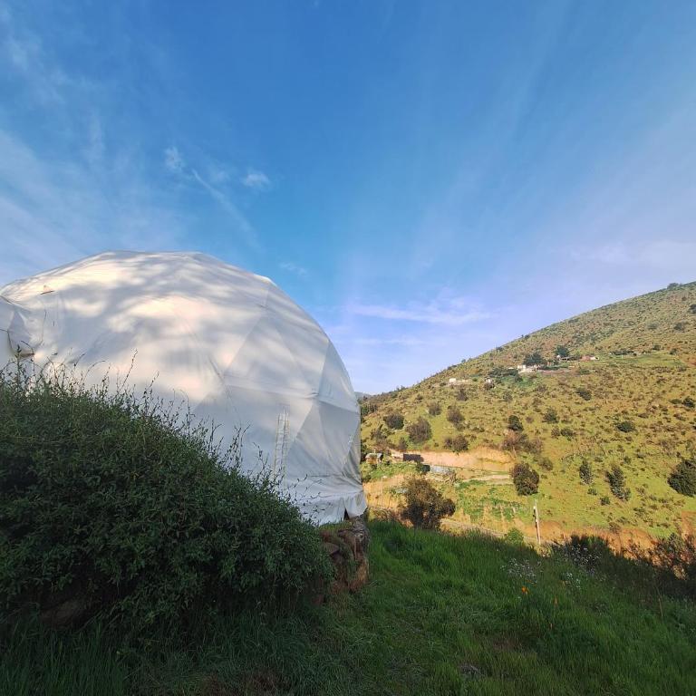Domo Geodesico en Reserva Mundial de la Biosfera - One-Bedroom House - 29