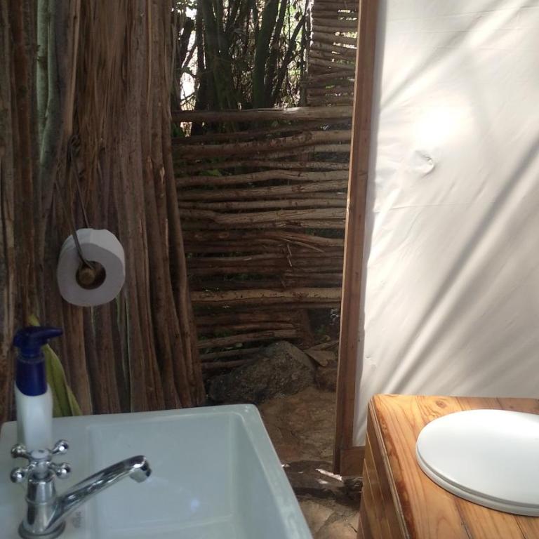 Domo Geodesico en Reserva Mundial de la Biosfera - One-Bedroom House - 31
