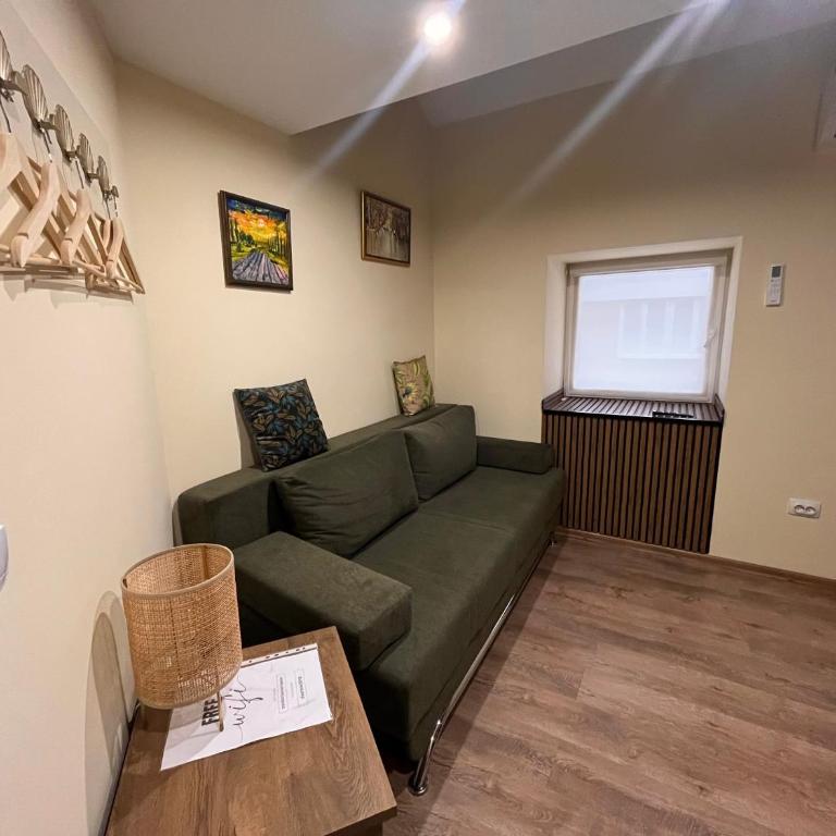 Vila Dvorište - Standardni Apartman - 6