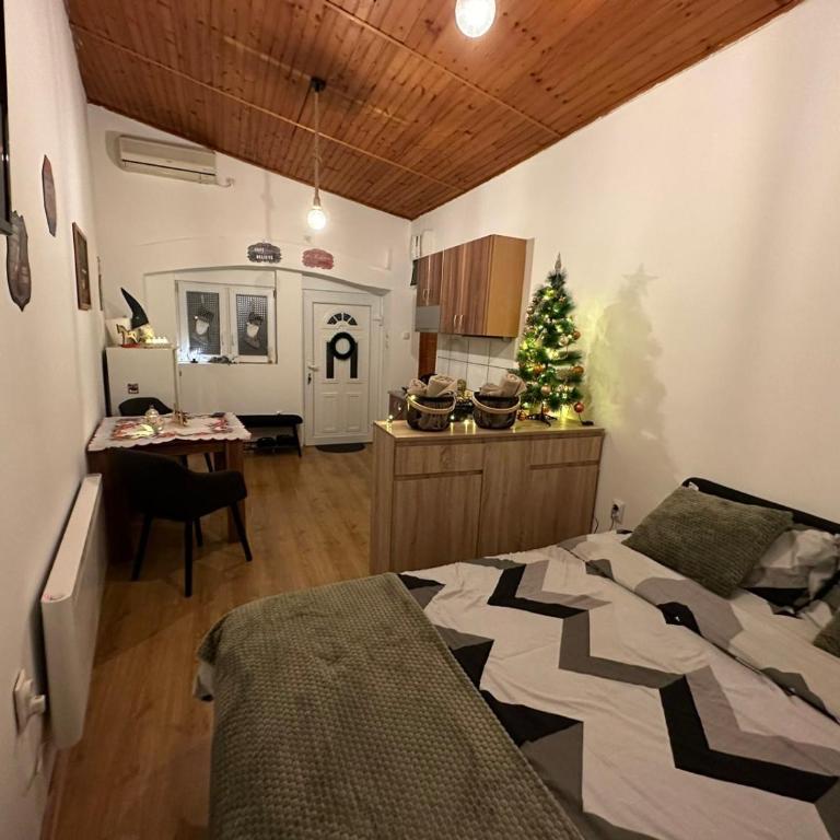 Apartman For you - Standardni Studio - 12