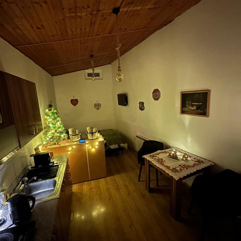 Apartman For you - Standardni Studio - 18