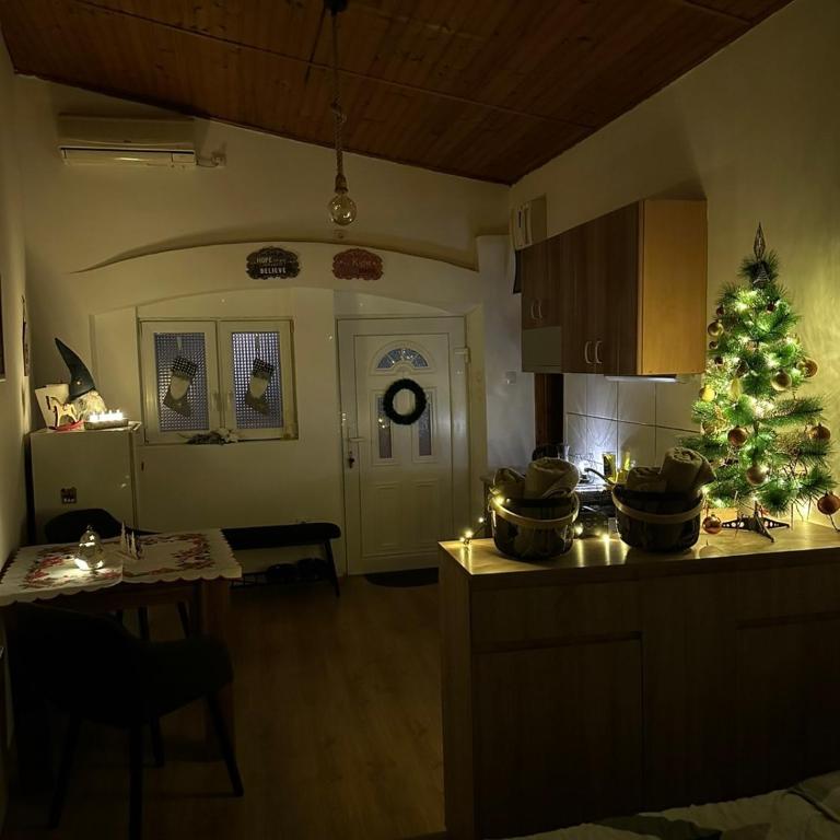 Apartman For you - Standardni Studio - 19