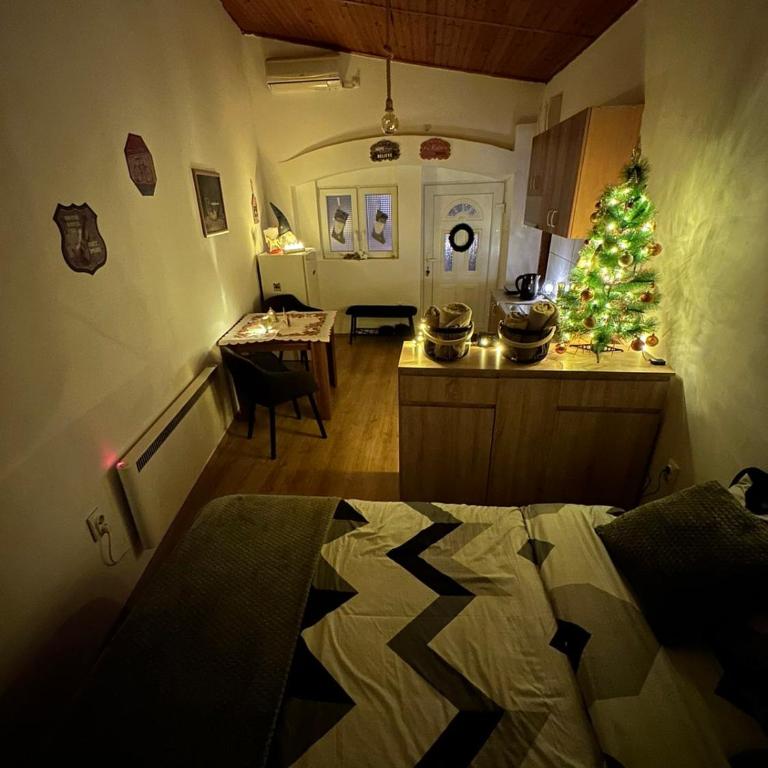 Apartman For you - Standardni Studio - 21