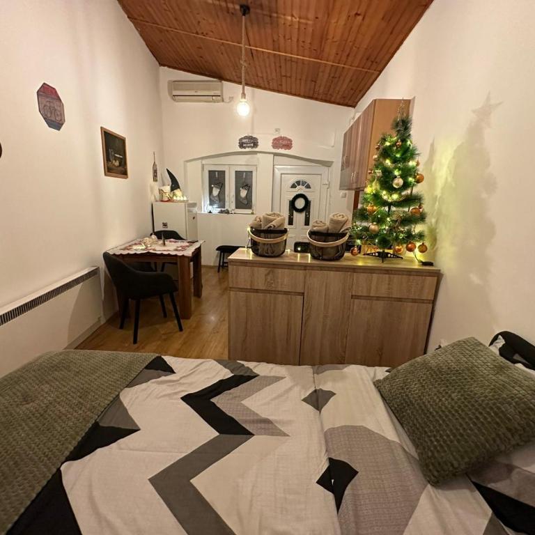 Apartman For you - Standardni Studio - 1