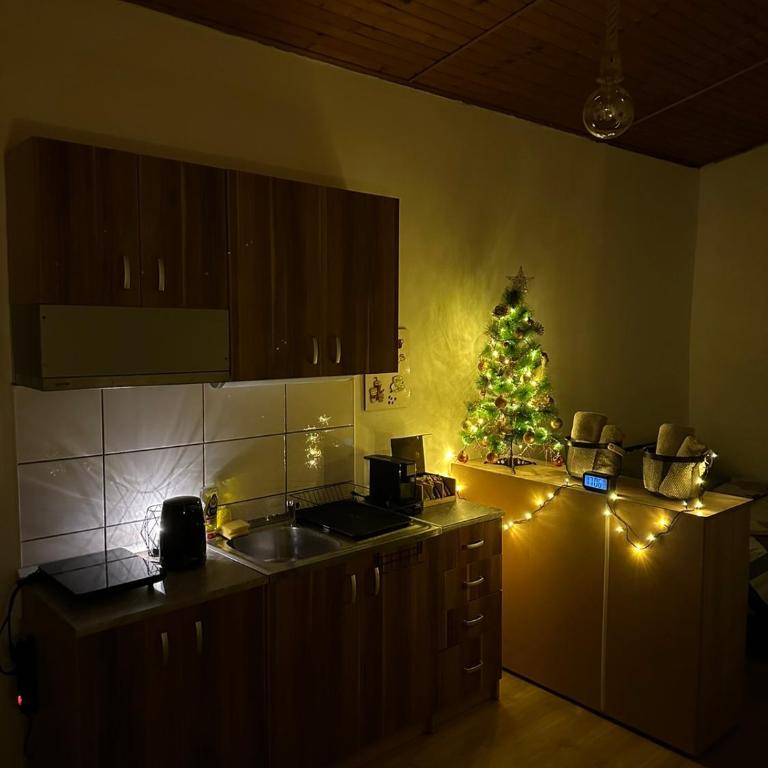 Apartman For you - Standardni Studio - 23