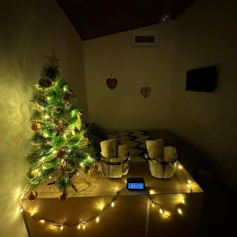 Apartman For you - Standardni Studio - 24