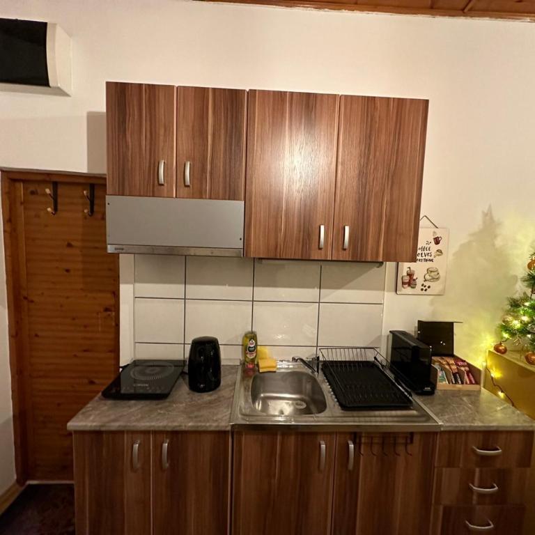 Apartman For you - Standardni Studio - 9