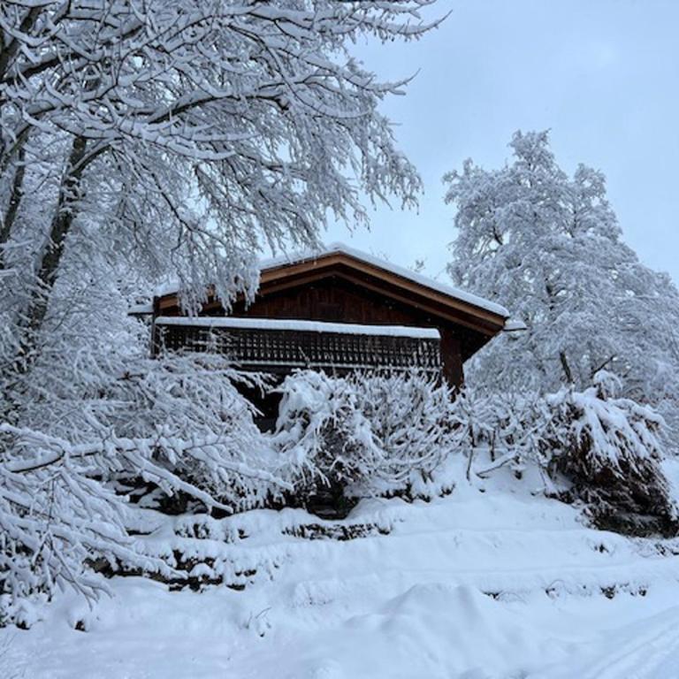 Datcha of Sky -Jardin - Calme - 180 vues - 9 chambres & Studio Appt - Chalet - 31