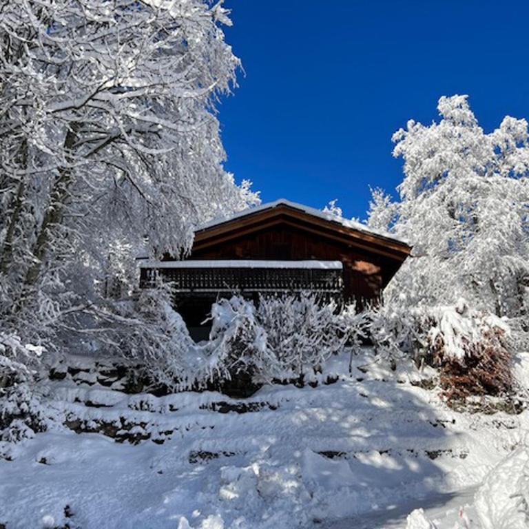 Datcha of Sky -Jardin - Calme - 180 vues - 9 chambres & Studio Appt - Chalet - 24