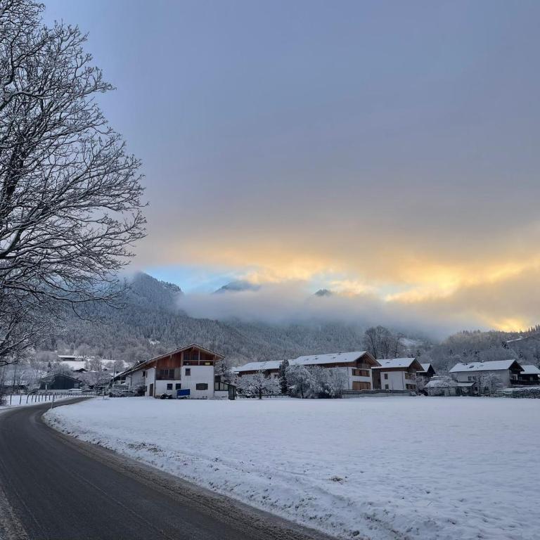 SeelenbaumlerIn - Single Room with Mountain View - 17