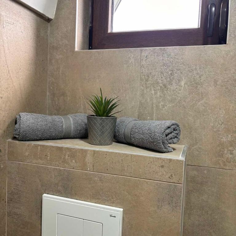 Apartman Kala Divčibare - Apartman sa 1 Spavaćom Sobom - 23