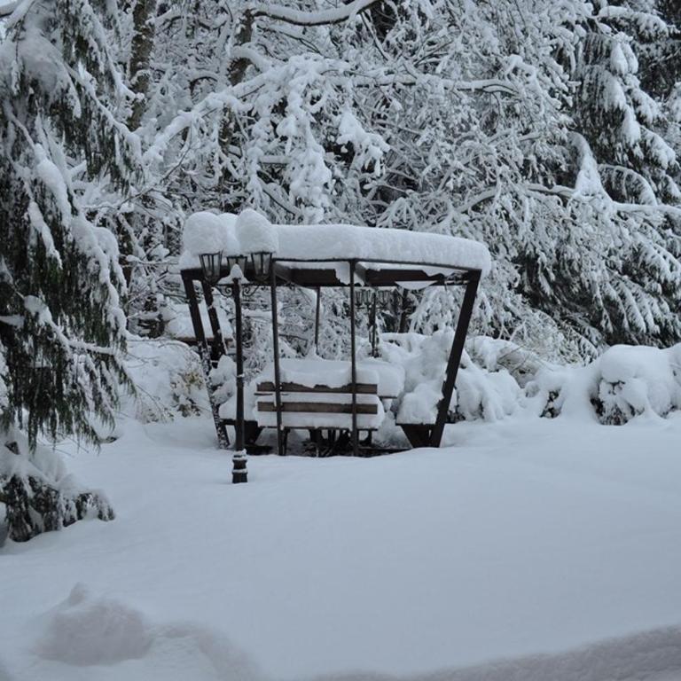 Chalet Eras, Belle vue lac, Sauna, Wifi - Chalet 3 Chambres - 6