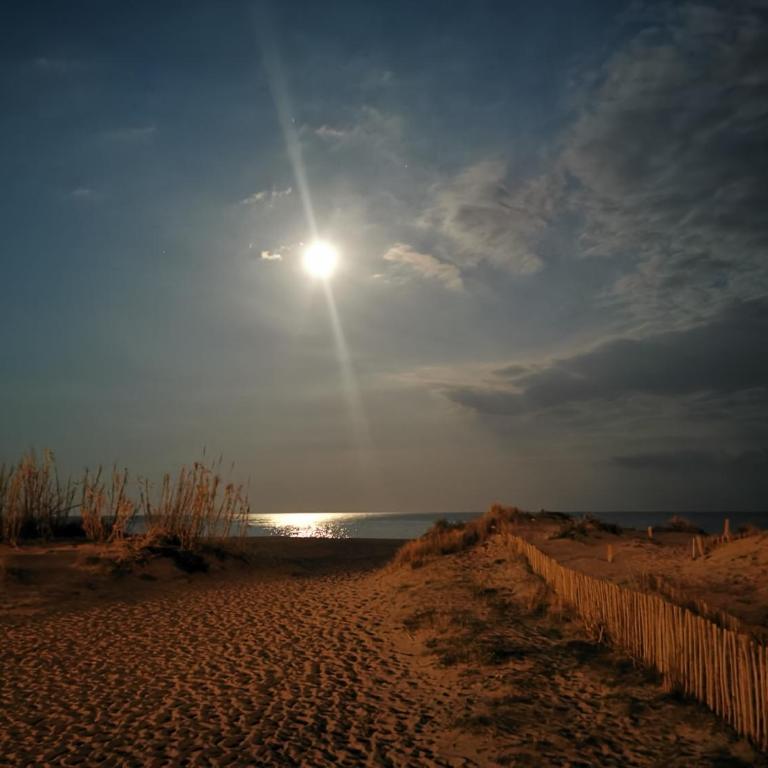 Canet-Beach - One-Bedroom Apartment - 12
