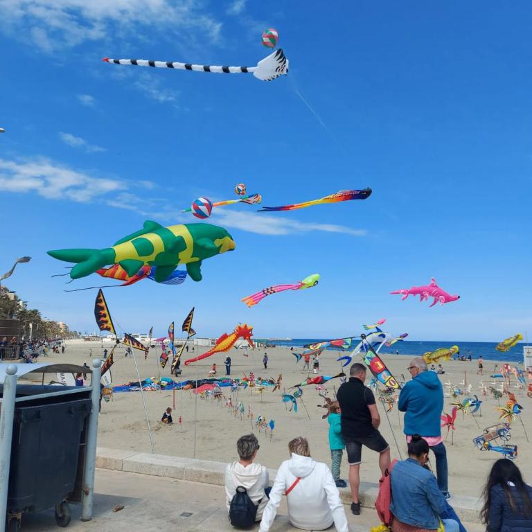 Canet-Beach - One-Bedroom Apartment - 22