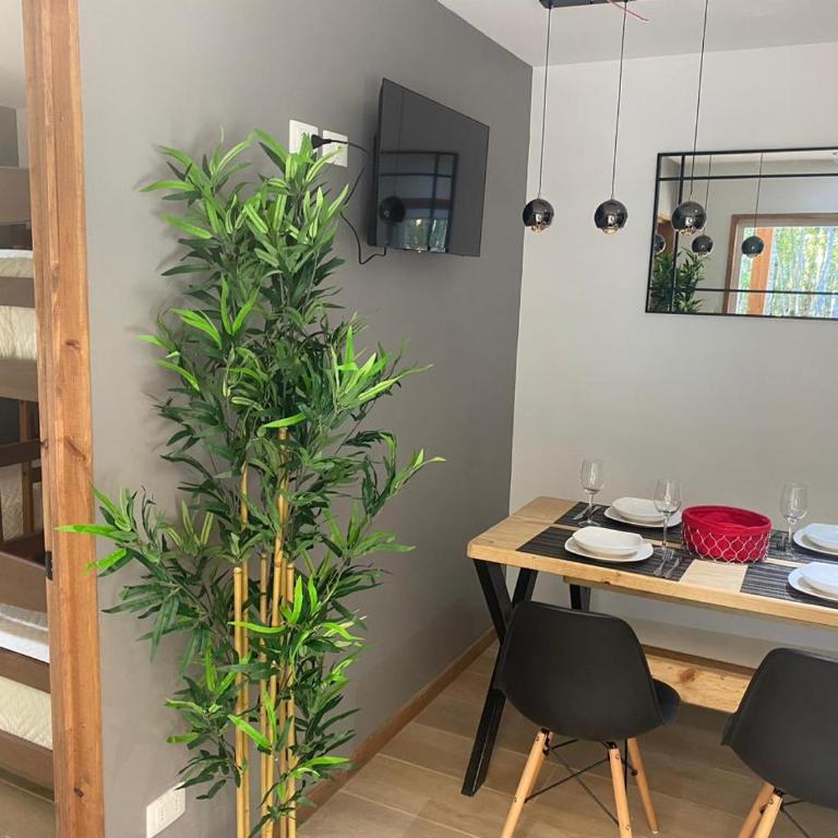 Boker Tov Pucón - Casa de 2 dormitorios - 35