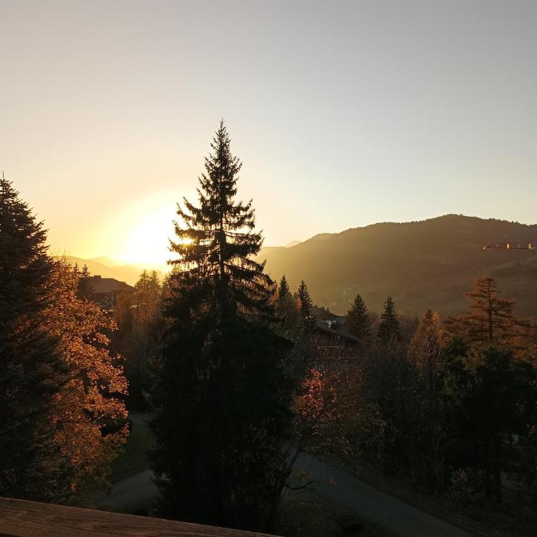Le green d'Arbois - Ski au pied - Appartamento con 2 Camere da Letto - 12