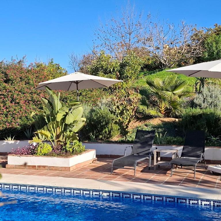 La Sureña - One-Bedroom Apartment - 19