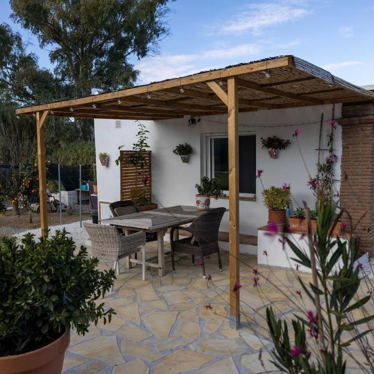 La Sureña - One-Bedroom Apartment - 24