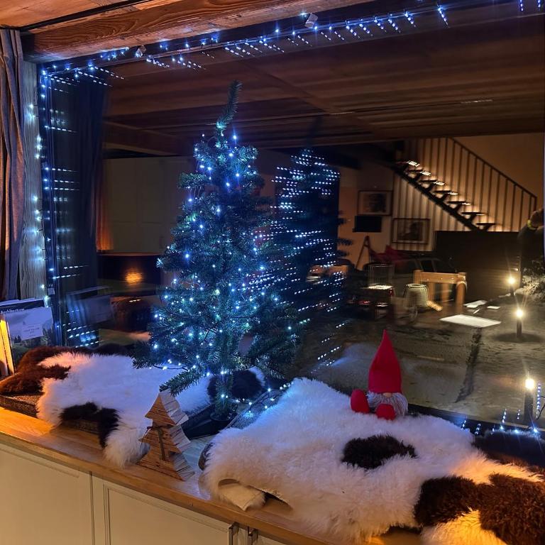 Chalet 8 Etoiles - Chalet Superior - 20