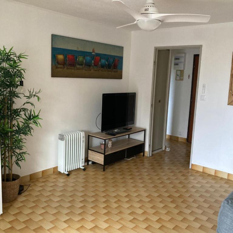 Magnifique T2 Port de Carnon avec Wifi - Mer à 400m - Appartement 1 Chambre - 13