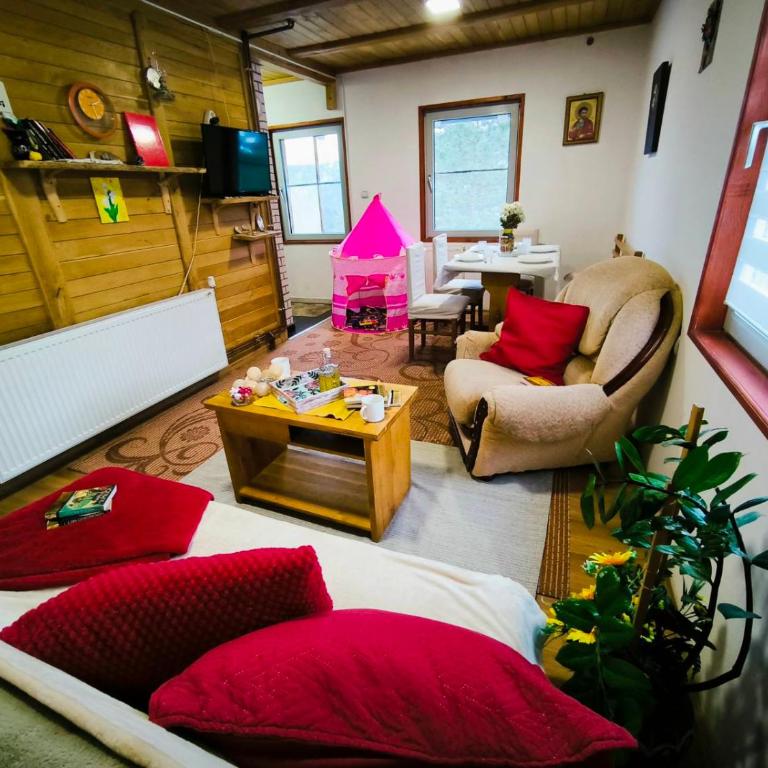 Andrica Sokak - Apartman sa Pogledom na Planinu - 20