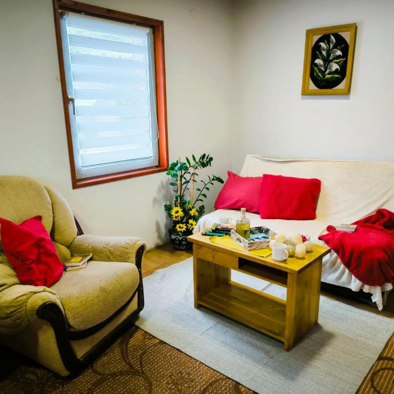 Andrica Sokak - Apartman sa Pogledom na Planinu - 33