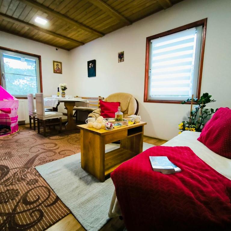 Andrica Sokak - Apartman sa Pogledom na Planinu - 16