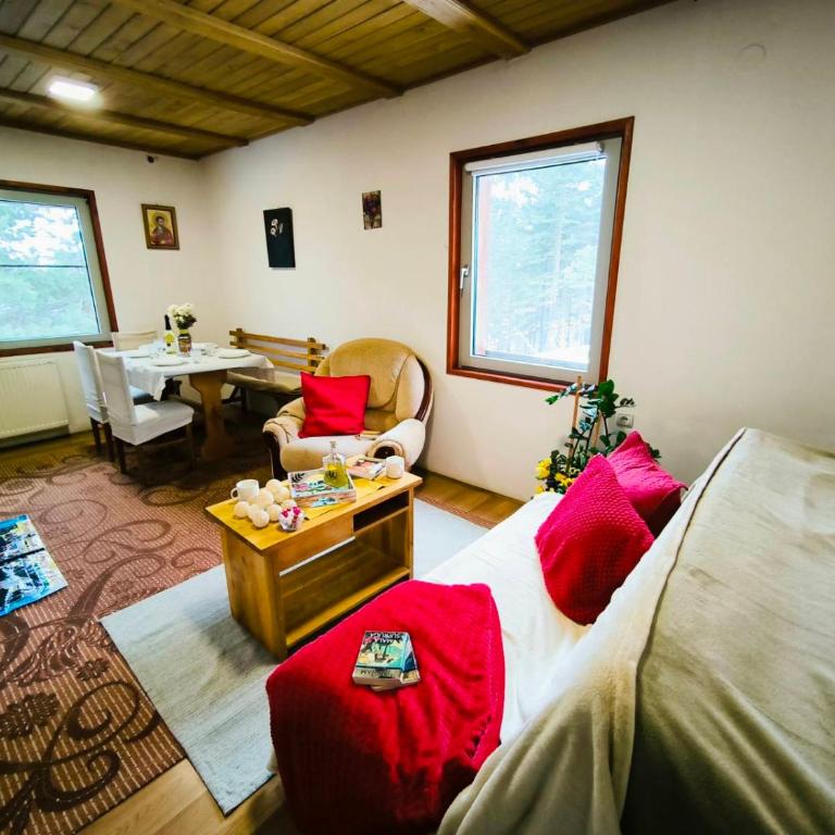 Andrica Sokak - Apartman sa Pogledom na Planinu - 9
