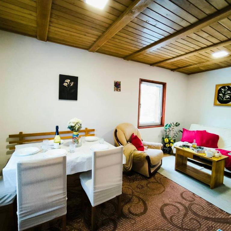 Andrica Sokak - Apartman sa Pogledom na Planinu - 5
