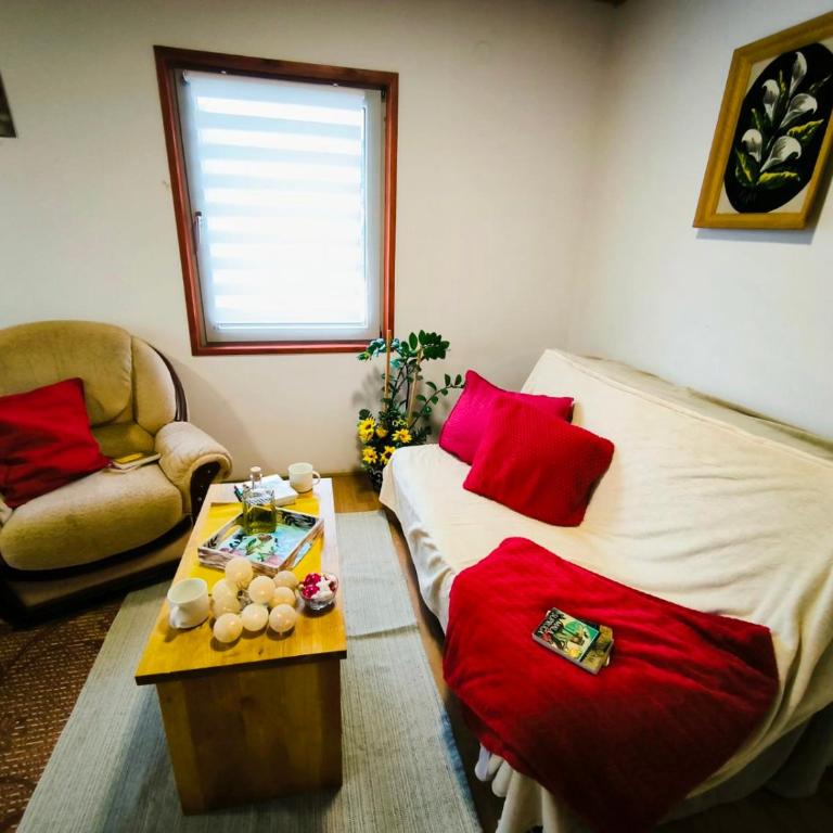 Andrica Sokak - Apartman sa Pogledom na Planinu - 8